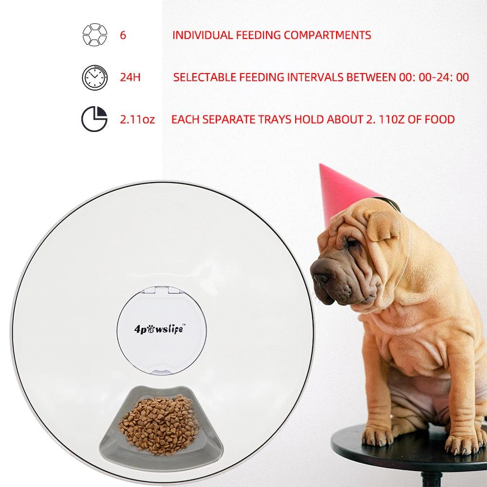 6-Meal Automatic Pet Feeder