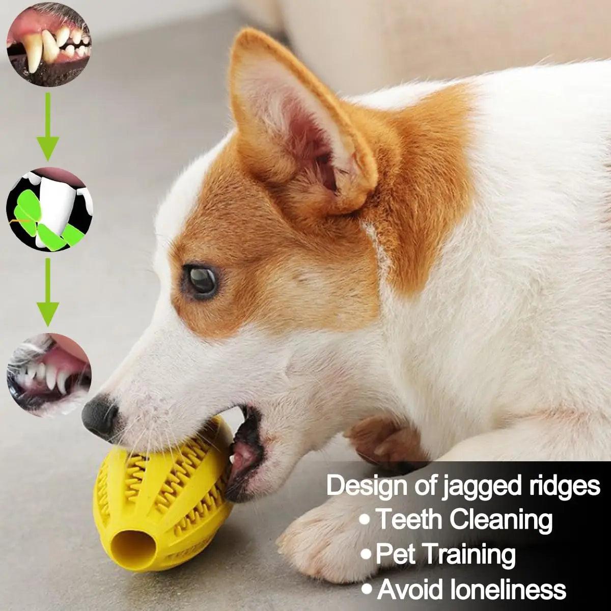 Tough Teeth Cleaning Chew Ball