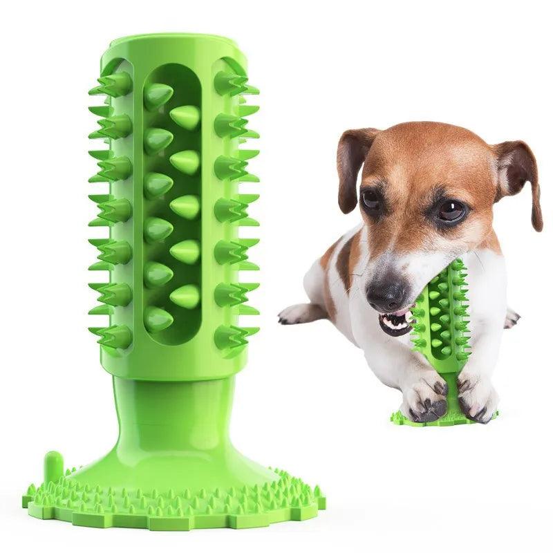 Indestructible Dumbbell Chew Toy