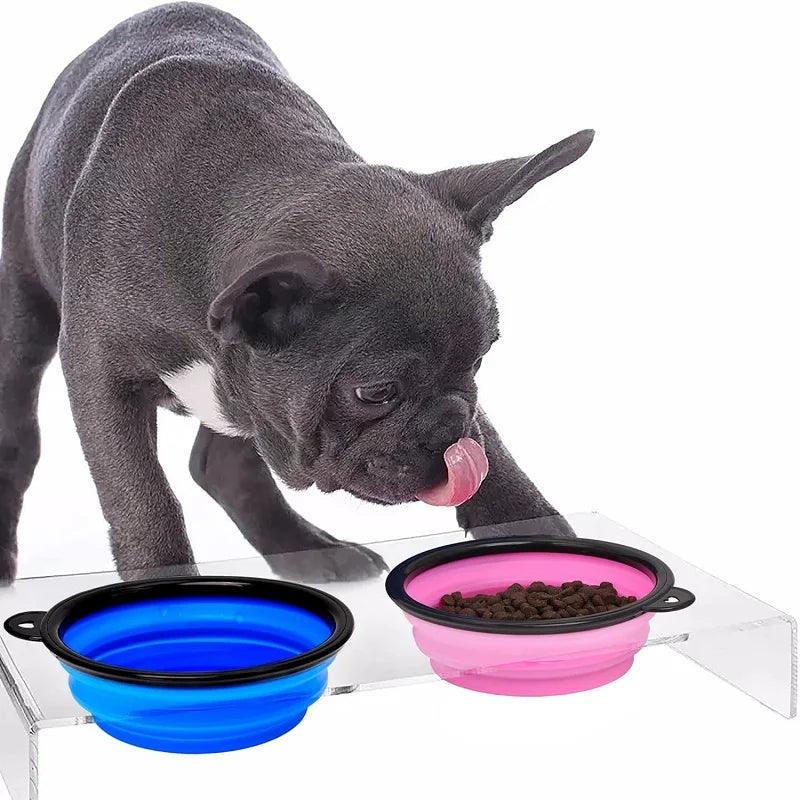 2-in-1 Portable Pet Feeder