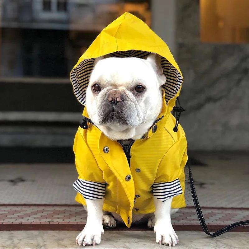 Yellow Pup Raincoat Jacket