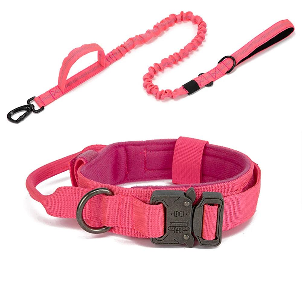 Durable Dog Collar & Leash