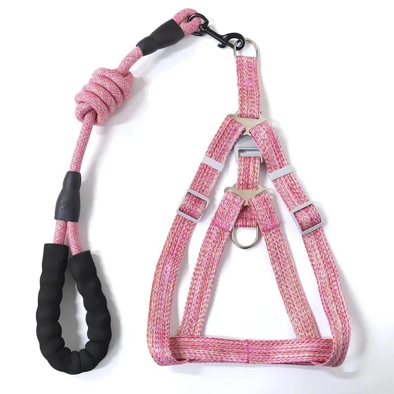 Adjustable Dog Harness Set