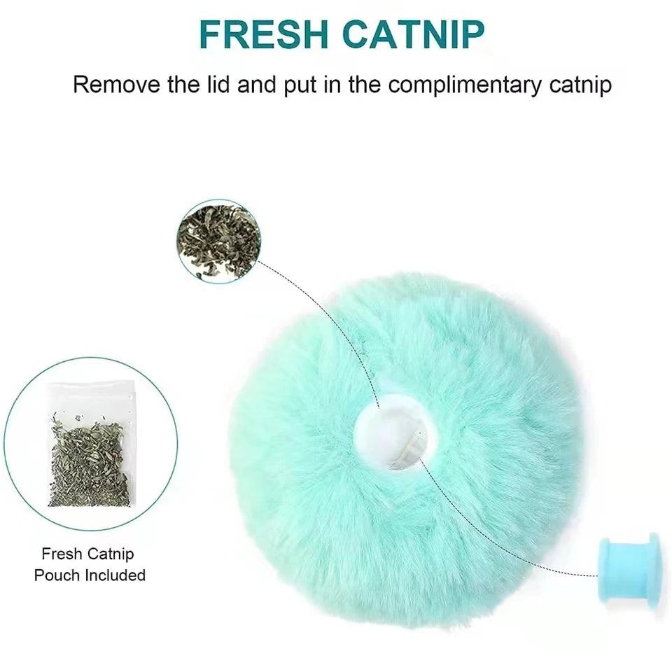 Interactive Catnip Plush Toy