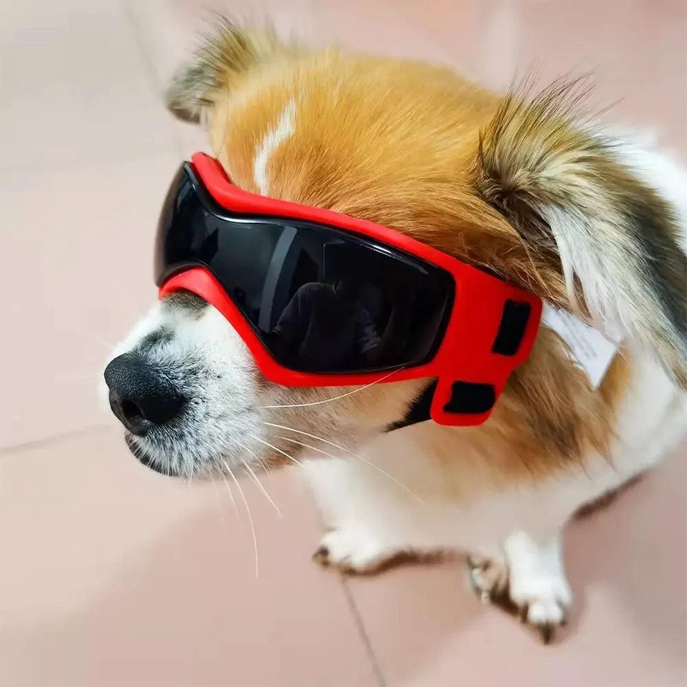 UV Dog Sunglasses for Small Breeds