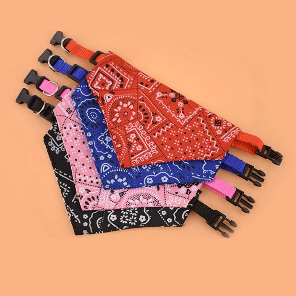 Stylish Bandana Collar Set