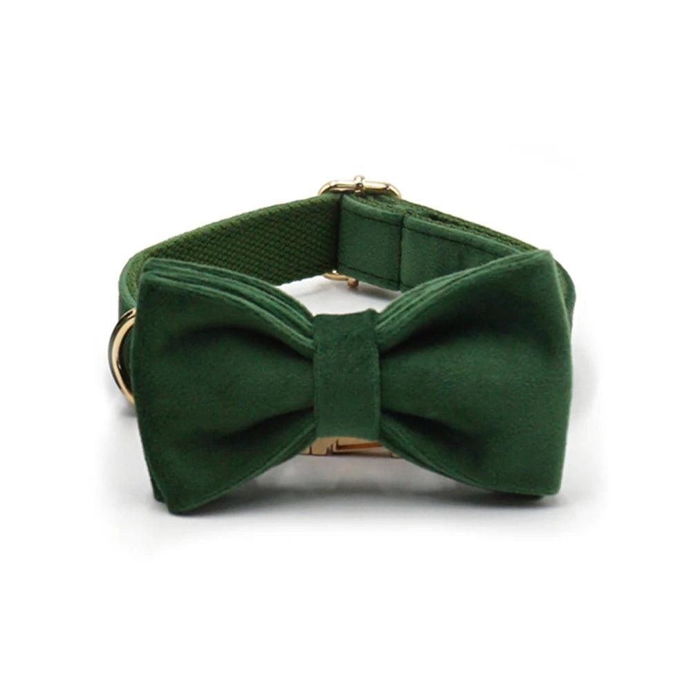 Personalized Velvet Dog Collar