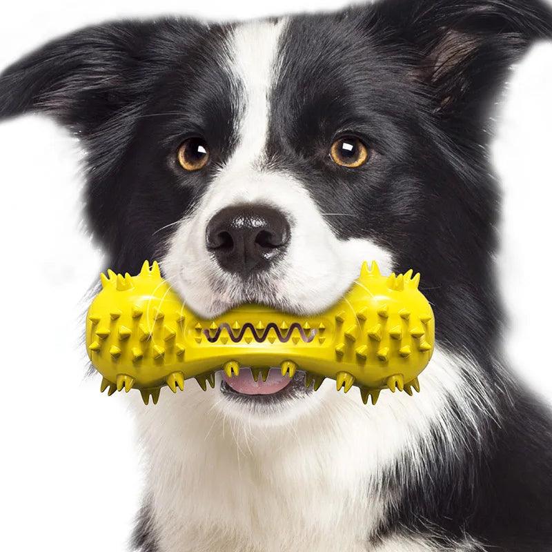 Indestructible Dumbbell Chew Toy