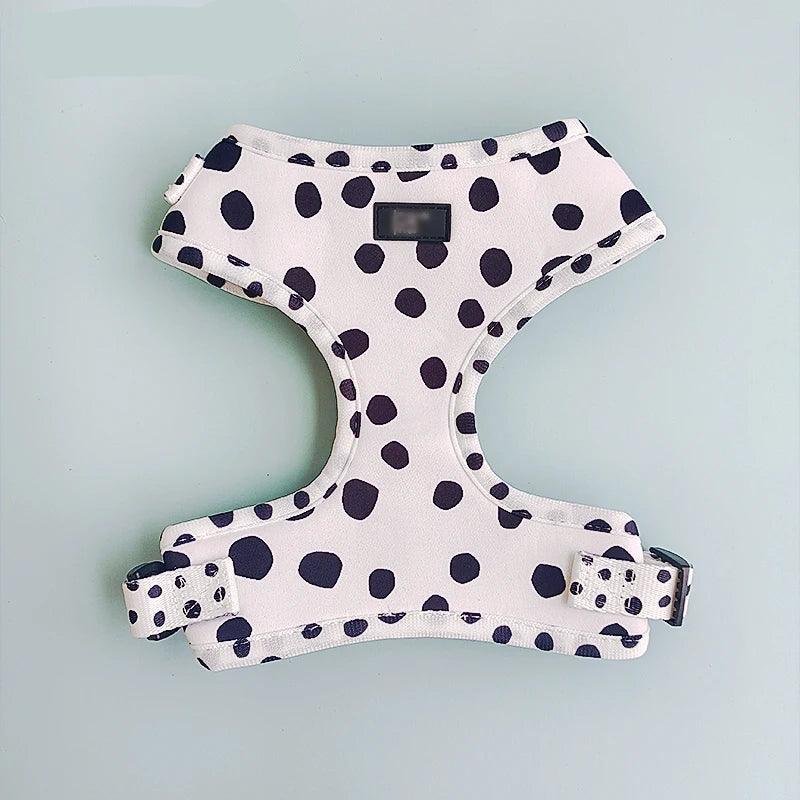 4-in-1 Pet Harness Set