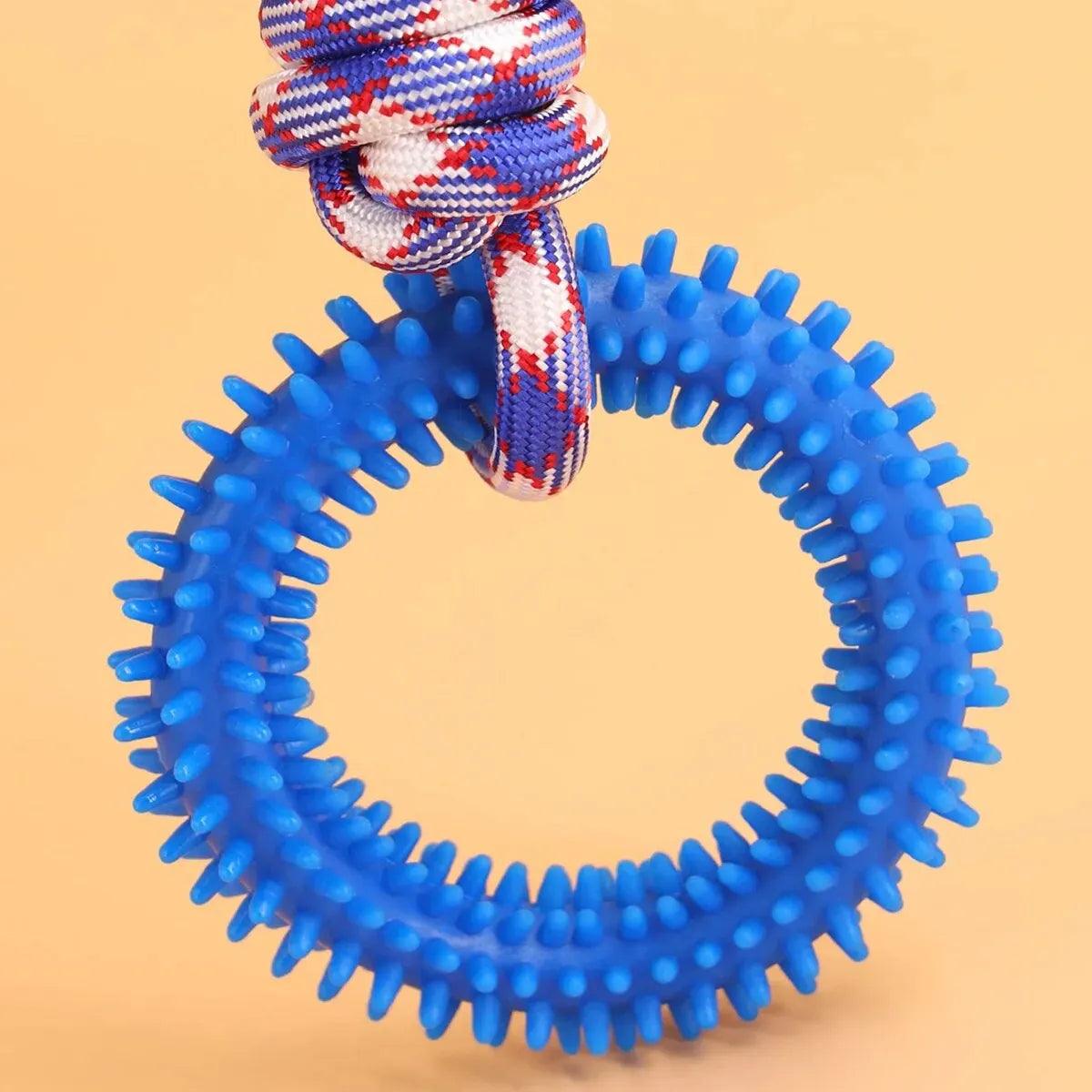 Spiked Ring Dog Training Toy