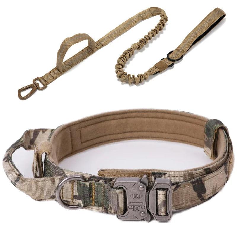 Durable Dog Collar & Leash
