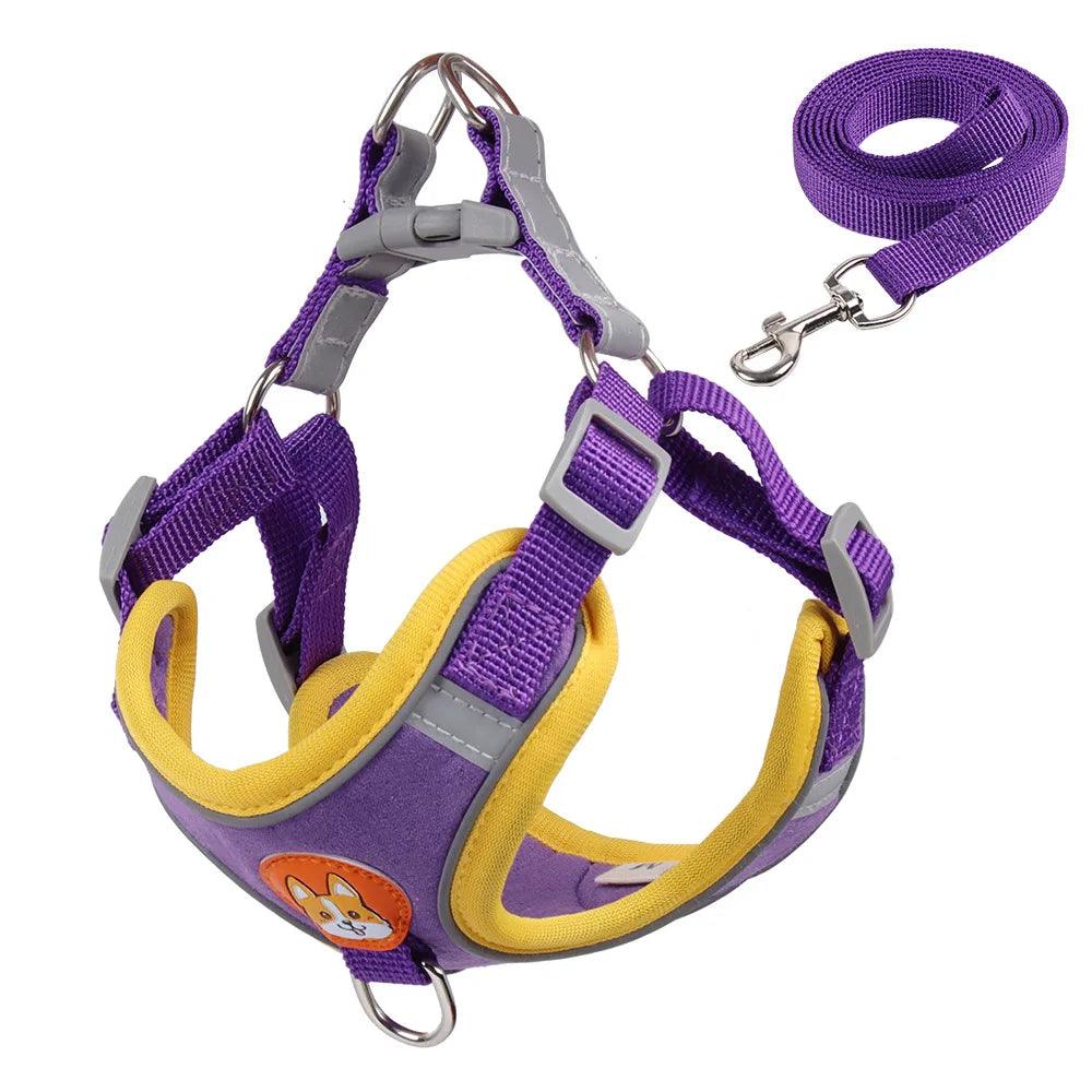 No Pull Dog Harness Set