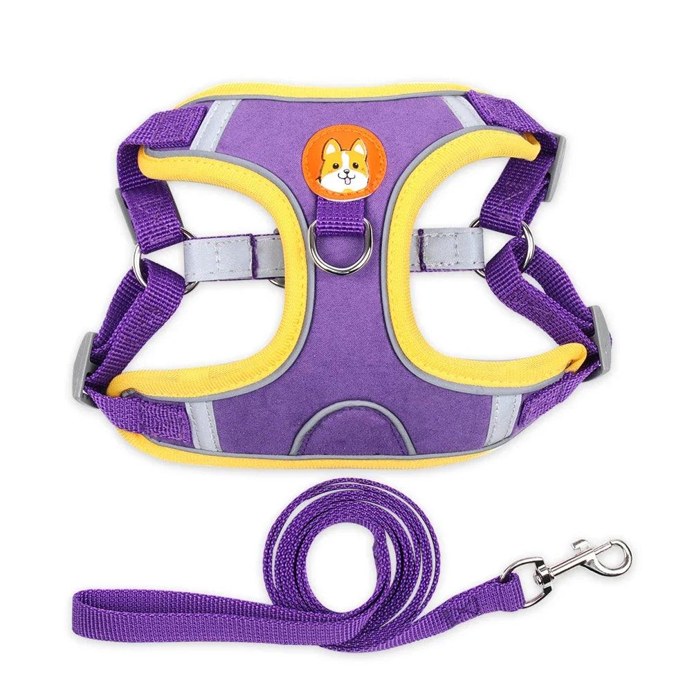 Reflective Dog Harness & Leash