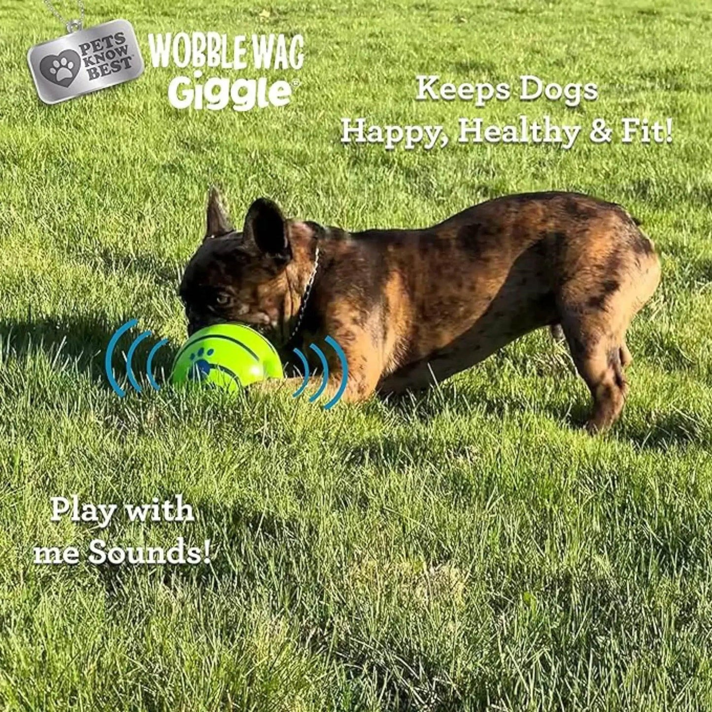 Wobble Wag Giggle Dog Ball