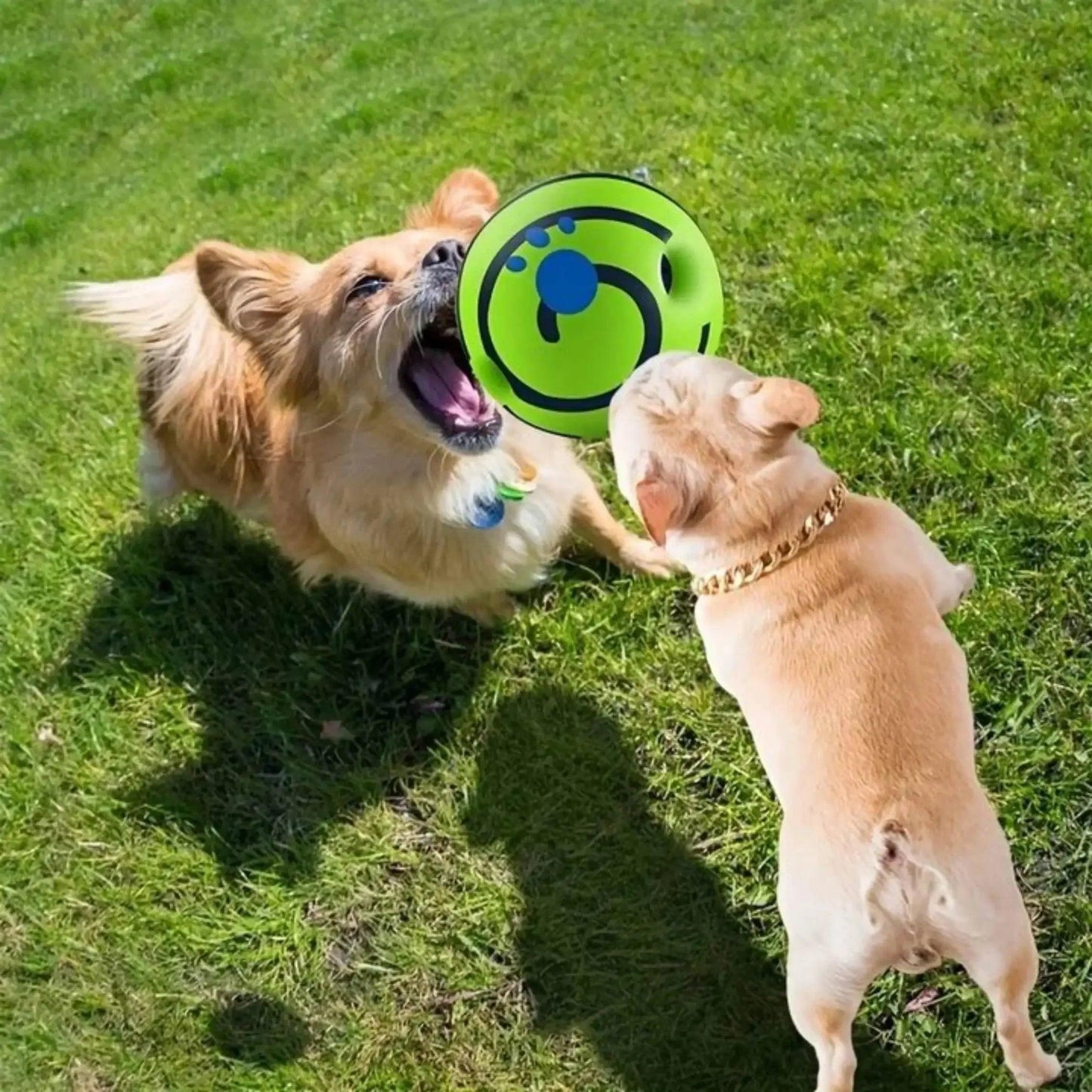 Wobble Wag Giggle Dog Ball