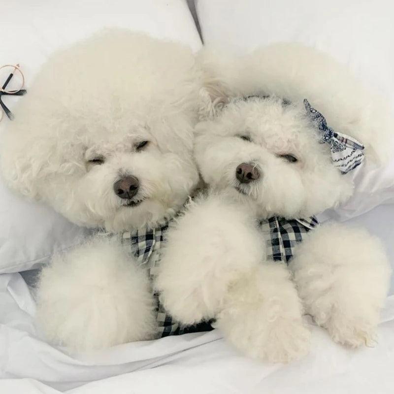 Plaid Cotton Dog Pajamas