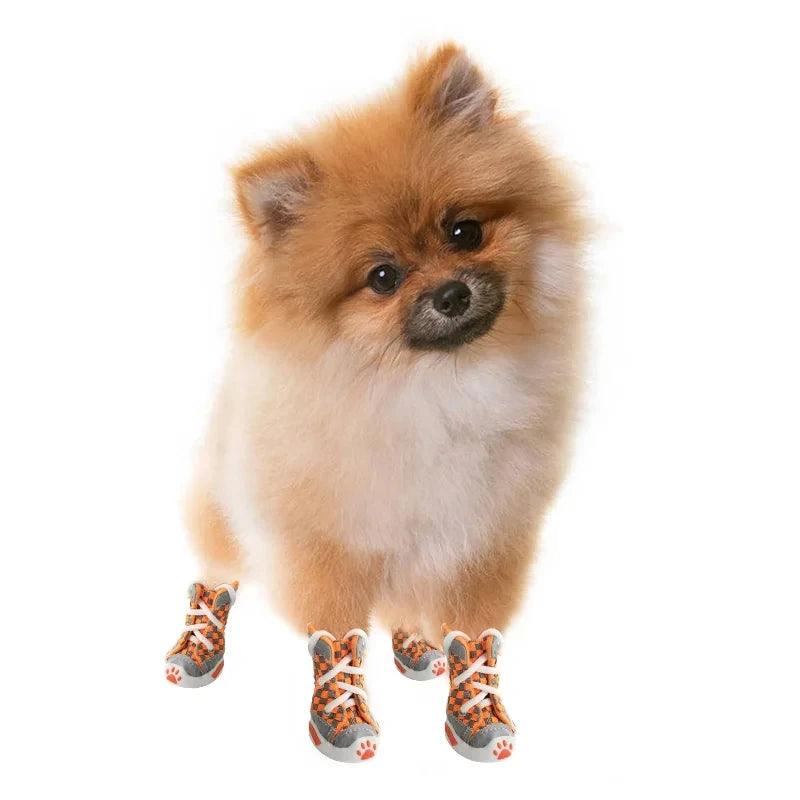Teddy Soft Puppy Summer Shoes