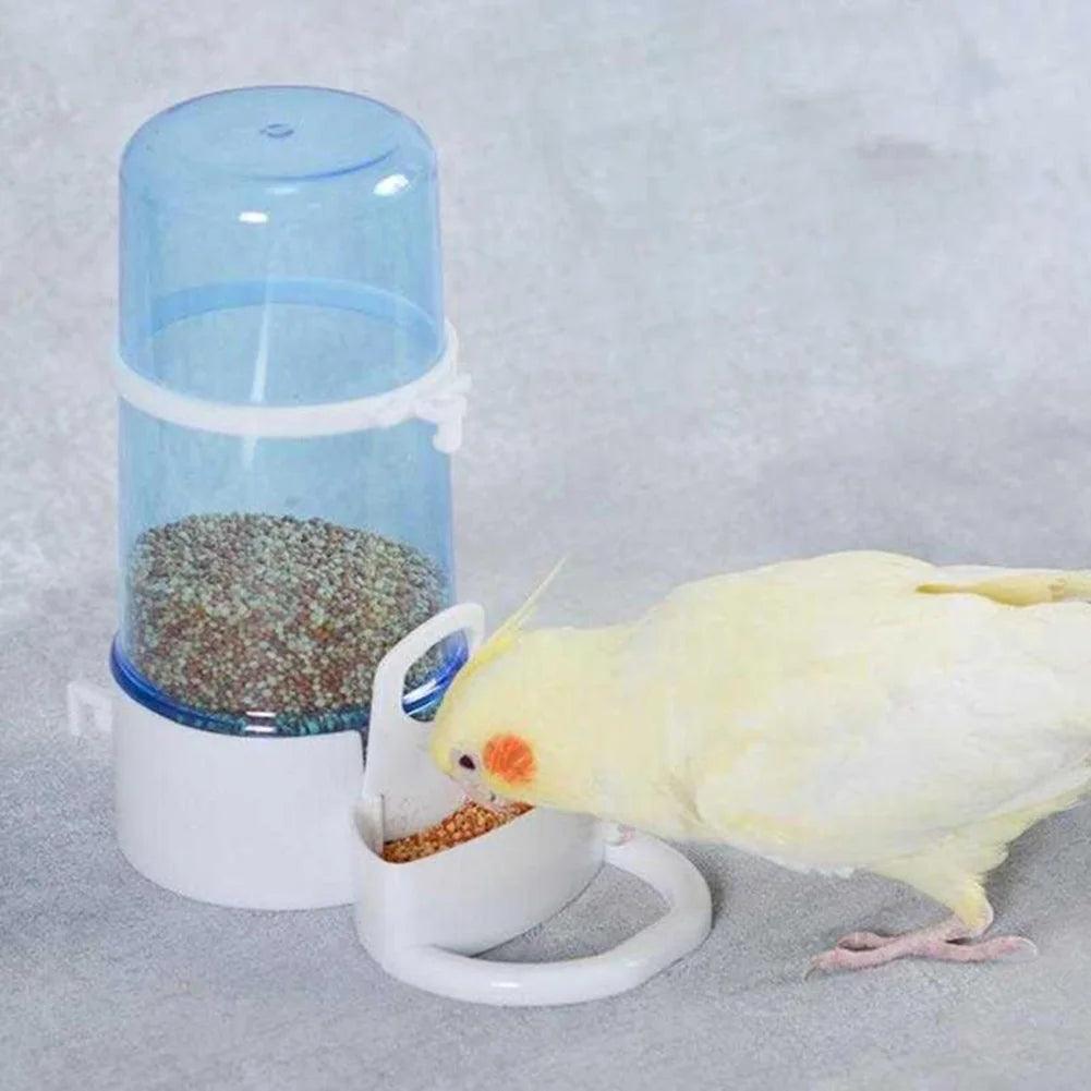 Automatic Bird Water Feeder