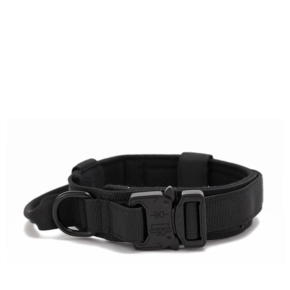 Durable Dog Collar & Leash