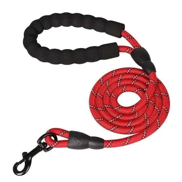 Adjustable Dog Harness & LeashDescription:
Walk your dog with ease! This adjustable harness and reflective leash combo ensures comfort and control for dogs of all sizes, perfect for walking, runRegal Pet PalaceRegal Pet PalaceAdjustable Dog Harness