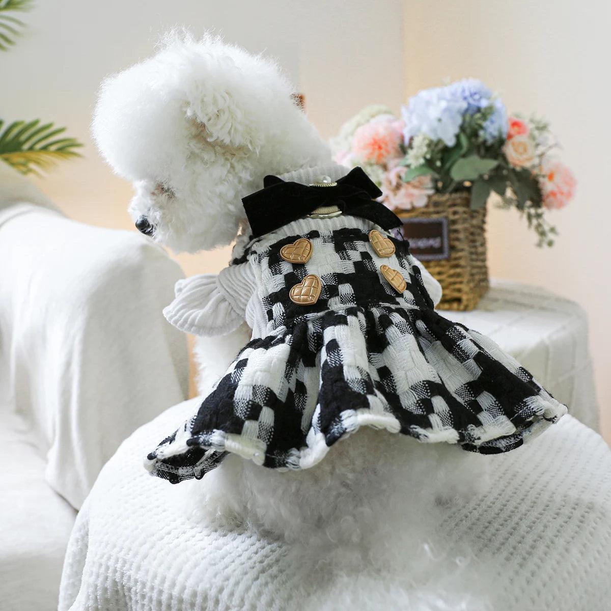 Elegant Bow Dog Dress