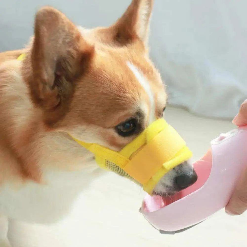 Adjustable Anti-Bark Dog MuzzleDescription:
Ensure peaceful moments with our dog! This adjustable, breathable muzzle controls barking and prevents biting, offering comfort and safety for small toRegal Pet PalaceRegal Pet PalaceAdjustable Anti-Bark