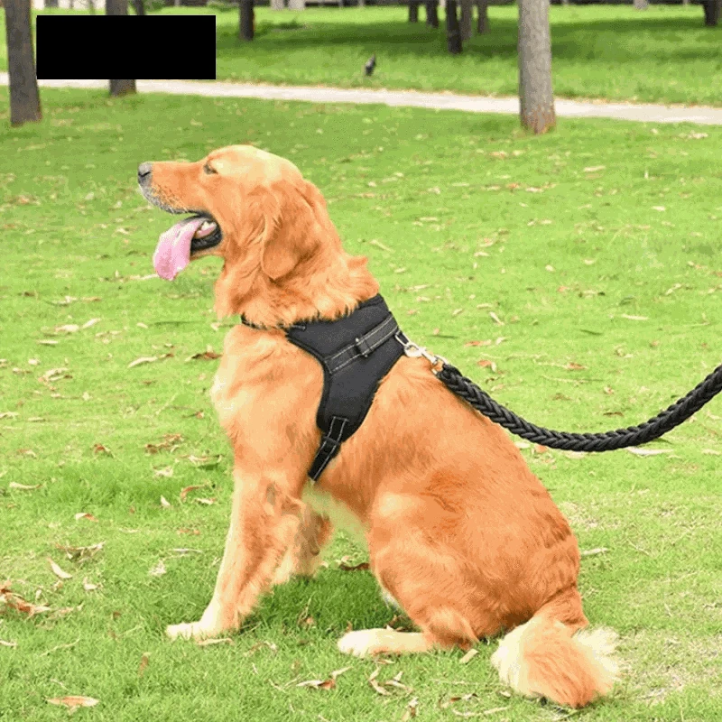 Adjustable Dog Harness & LeashDescription:
Enjoy worry-free walks with your pet! This adjustable harness and strong reflective leash combo ensures comfort, control, and safety for dogs of all siRegal Pet PalaceRegal Pet PalaceAdjustable Dog Harness
