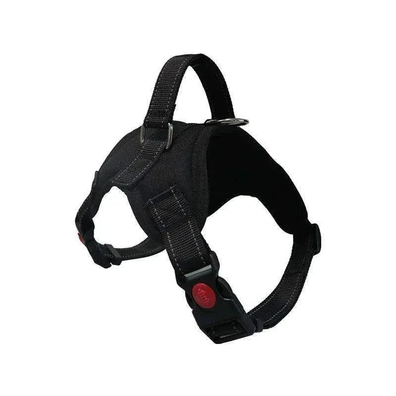 Adjustable Dog Harness & LeashDescription:
Walk your dog with ease! This adjustable harness and reflective leash combo ensures comfort and control for dogs of all sizes, perfect for walking, runRegal Pet PalaceRegal Pet PalaceAdjustable Dog Harness