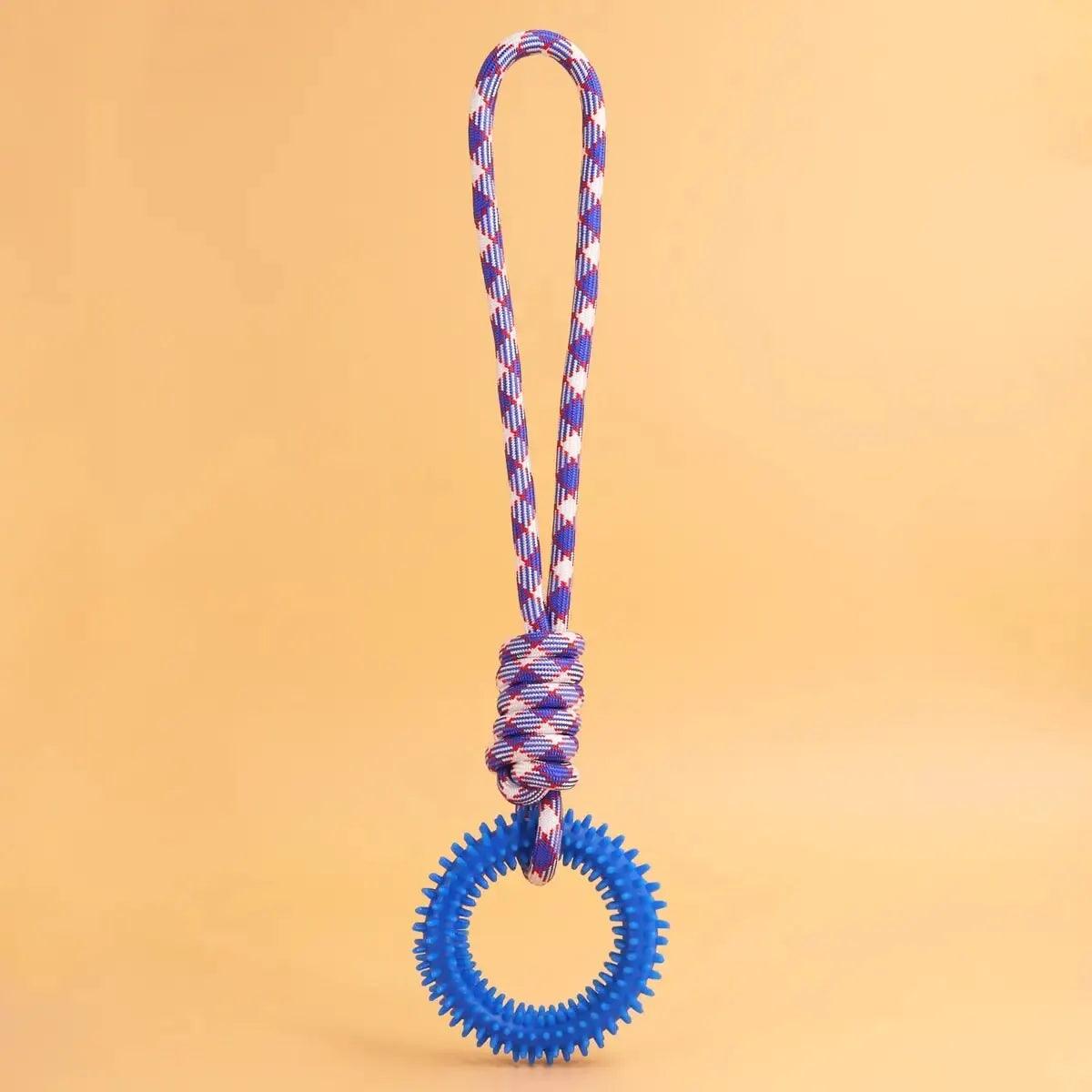 Spiked Ring Dog Training Toy