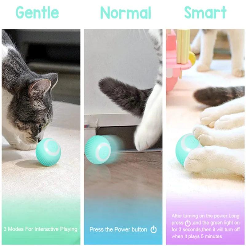 Smart Rolling Cat Toy