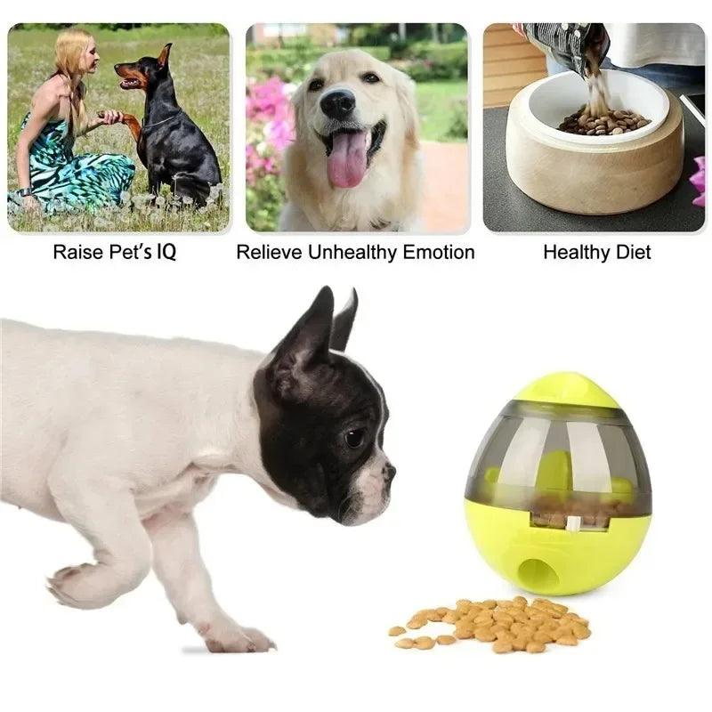 Interactive Pet Treat Tumbler