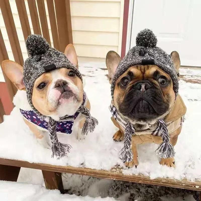 Winter Warm Dog Hat