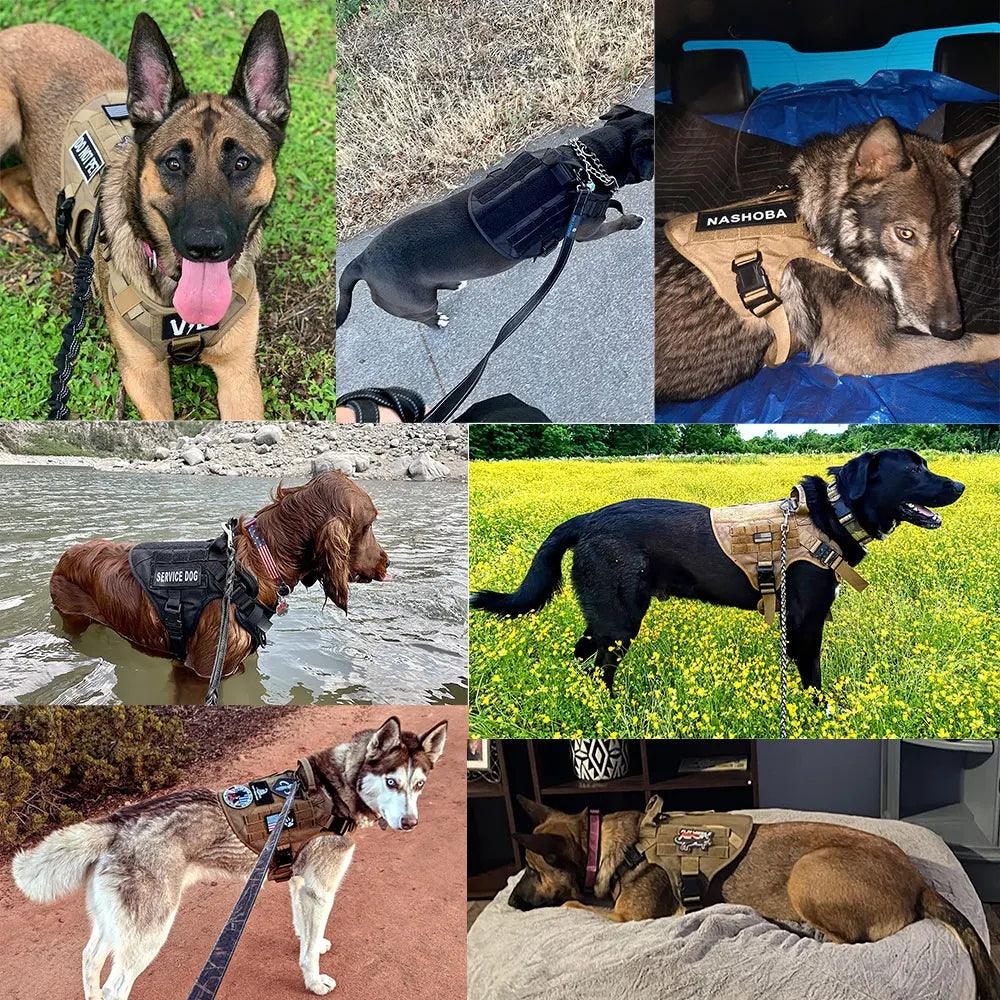 Tactical Dog Harness Set