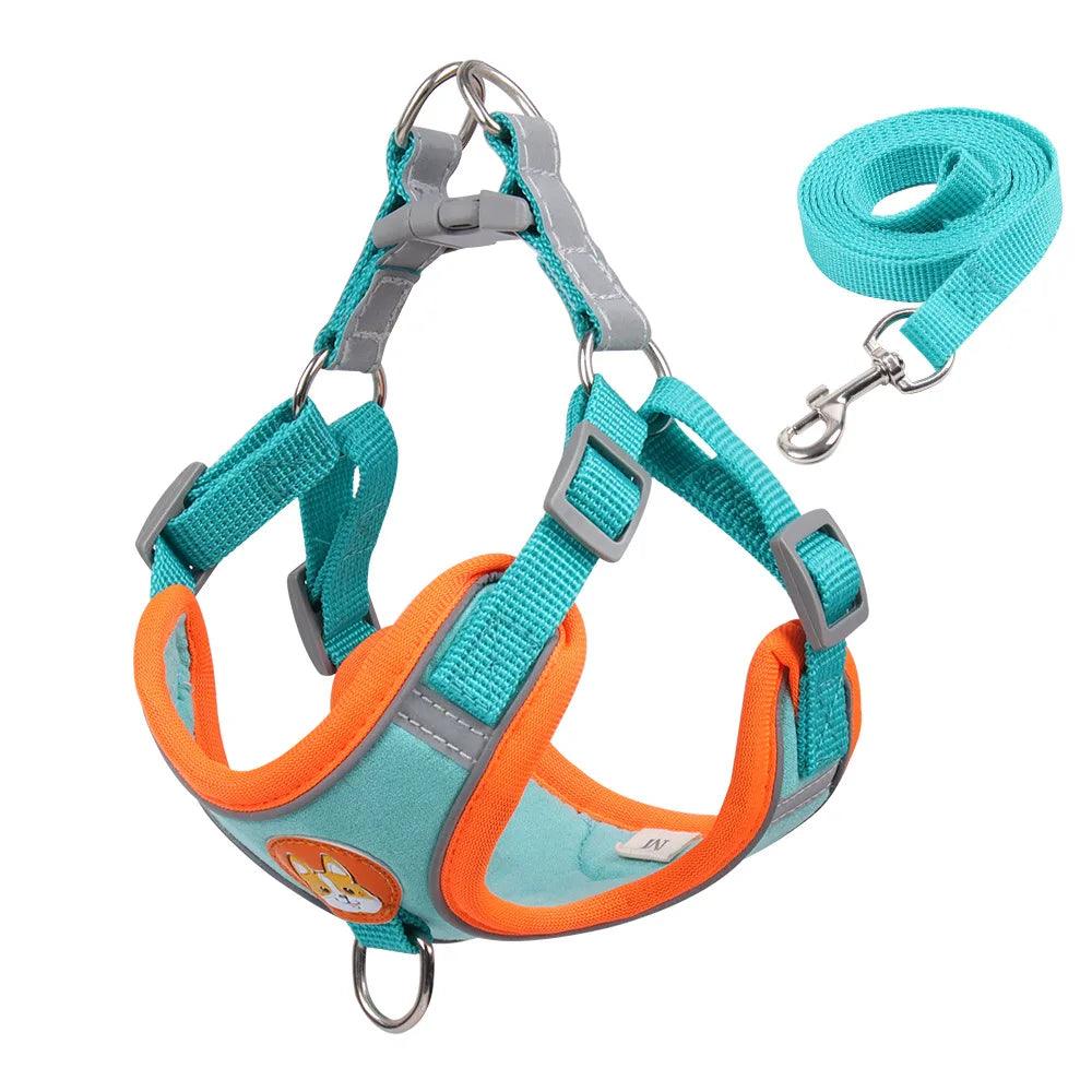 No Pull Dog Harness Set