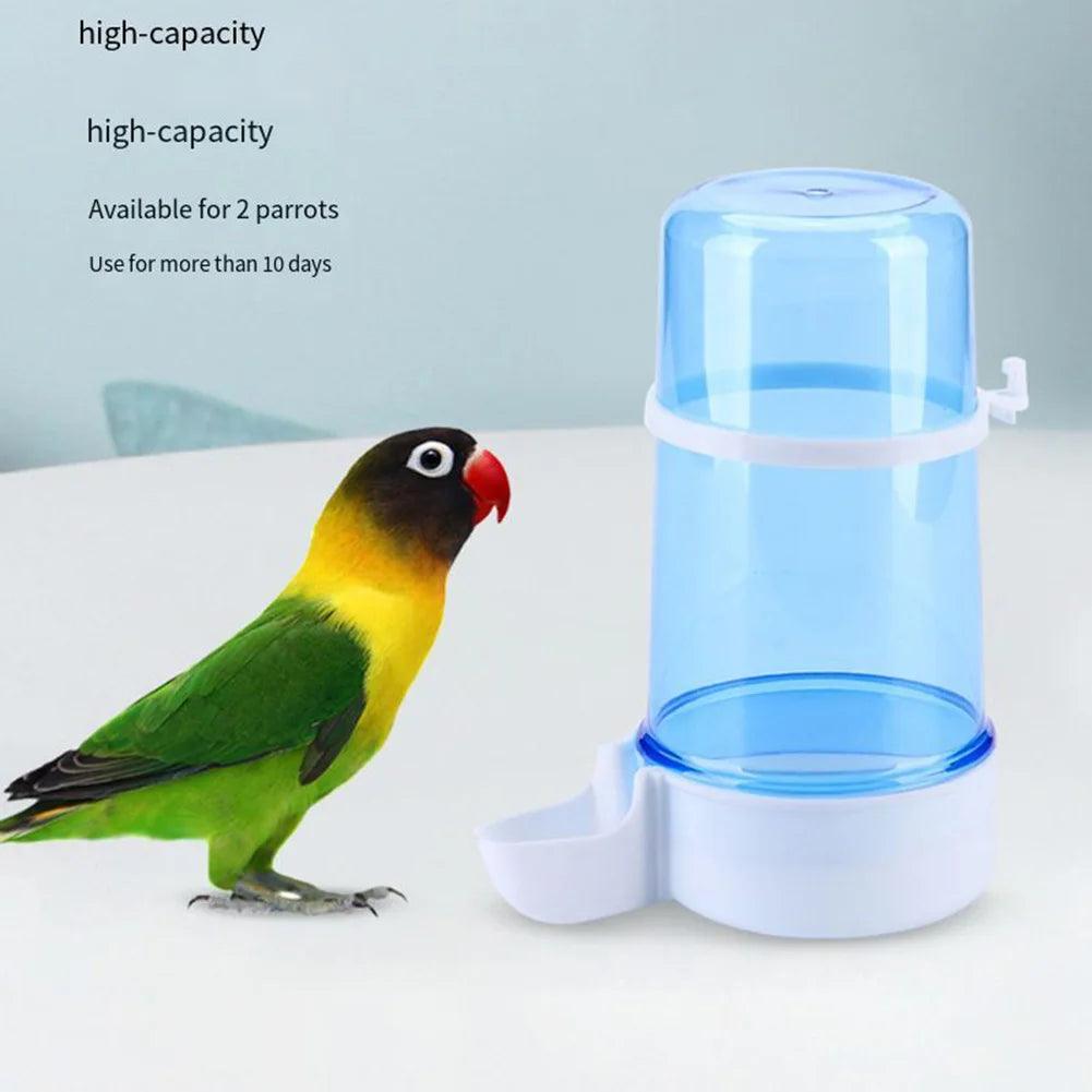 Automatic Bird Water Feeder