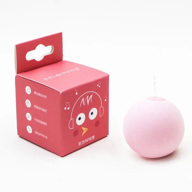 Interactive Catnip Plush Toy