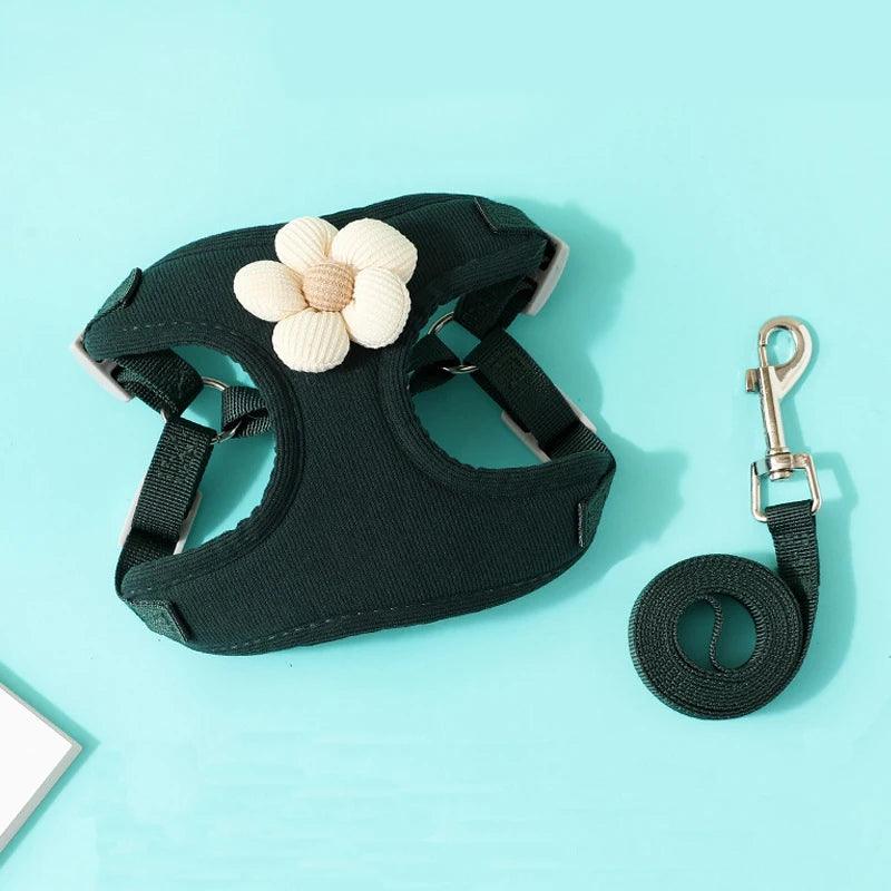 Adjustable Dog Harness & Leash