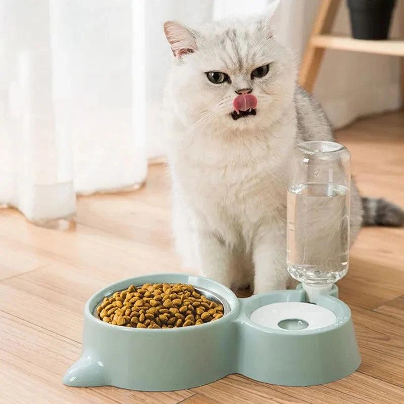 2-in-1 Cat Food & Water Bowl