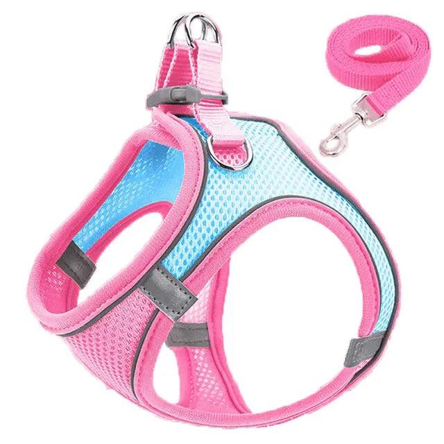 Reflective Cat Harness Set