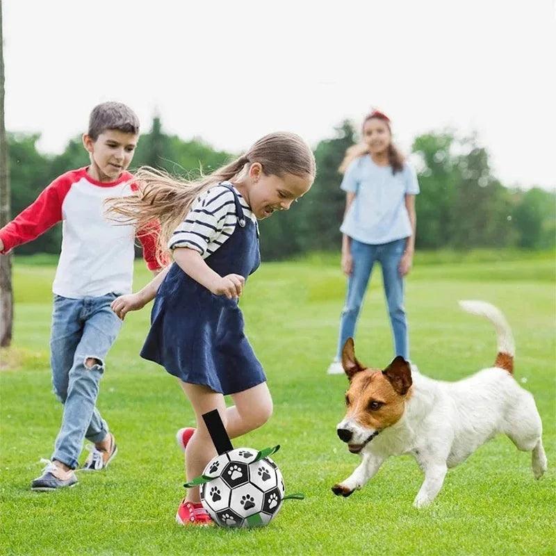 Durable Interactive Dog Soccer Ball
