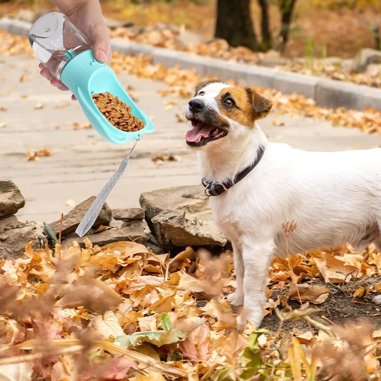2-in-1 Dog Travel Bottle