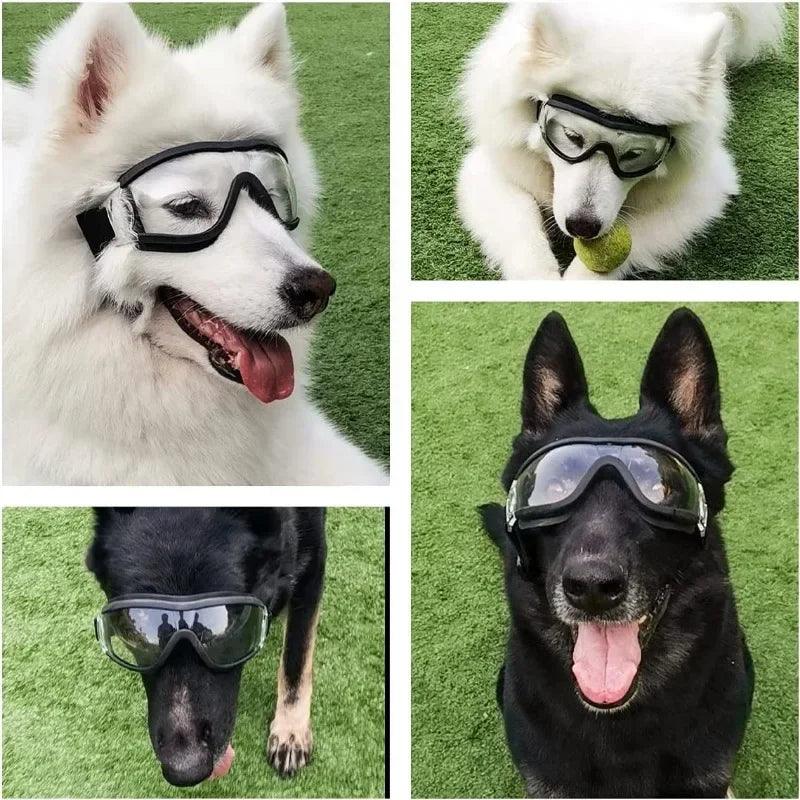 Anti-Fog Dog Ski Goggles