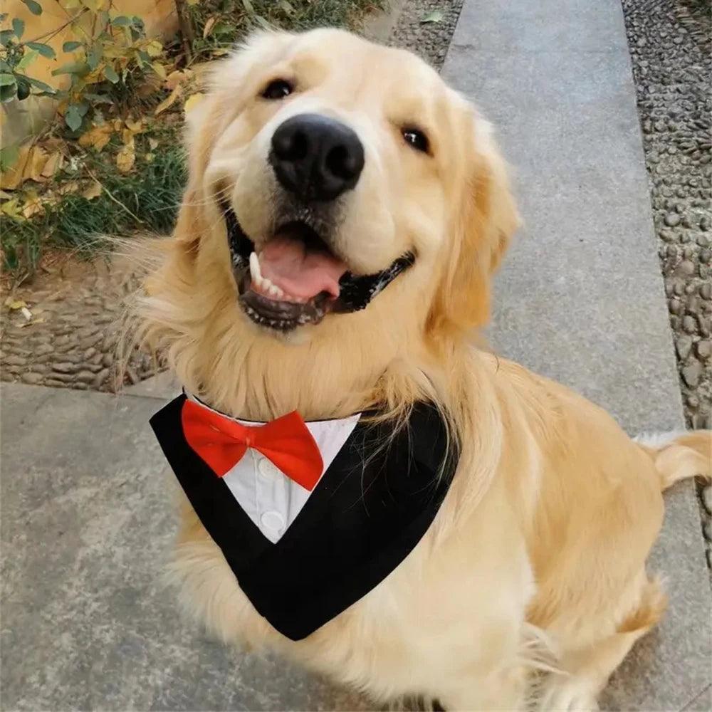Handsome Dog Bow Tie