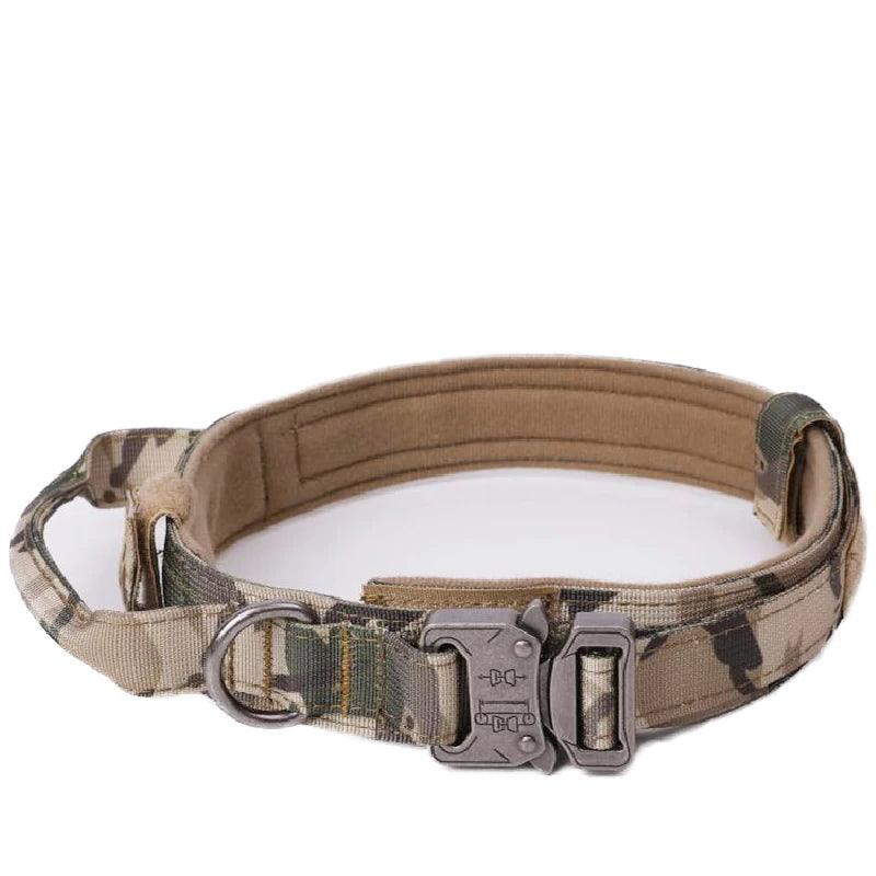 Durable Dog Collar & Leash