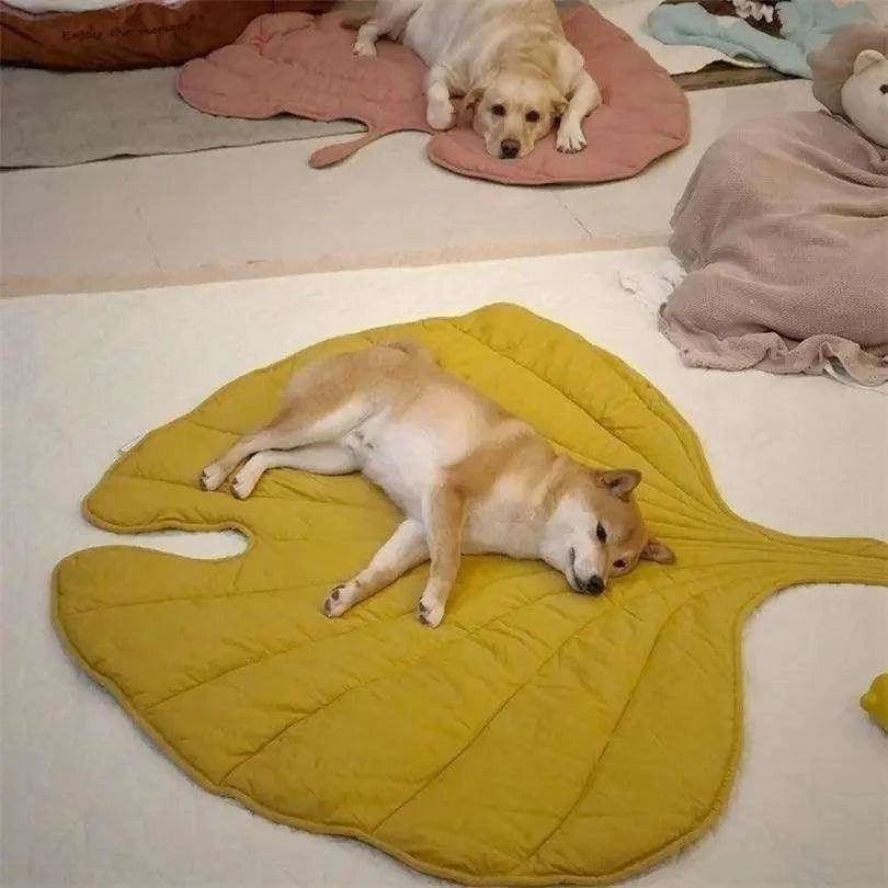 Cooling Leaf Dog MatDescription:
Beat the summer heat! This breathable, leaf-shaped cooling mat keeps your pup comfortable indoors, outdoors, or on the go—perfect for naps, car rides, Regal Pet PalaceRegal Pet PalaceCooling Leaf