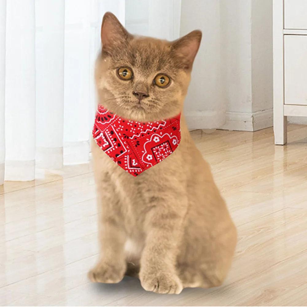 Stylish Bandana Collar Set
