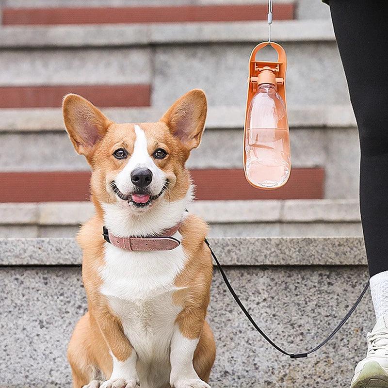 Portable Dog Water Bottle