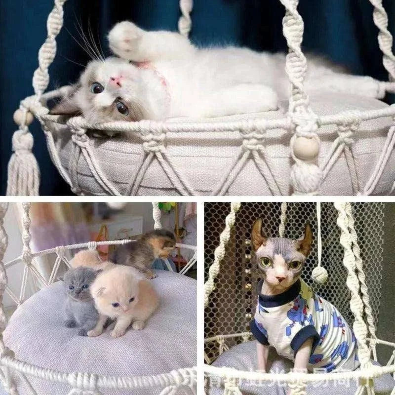Cozy Cat Hammock SwingDescription:
Give your cat the ultimate lounging spot with this hand-woven hammock. Perfect for relaxation and play, this cozy swing will become your pet's favoriteRegal Pet PalaceRegal Pet PalaceCozy Cat Hammock