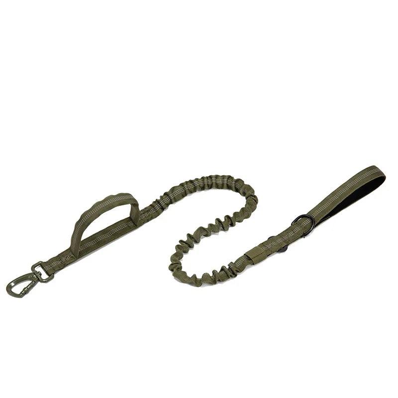 Durable Dog Collar & Leash
