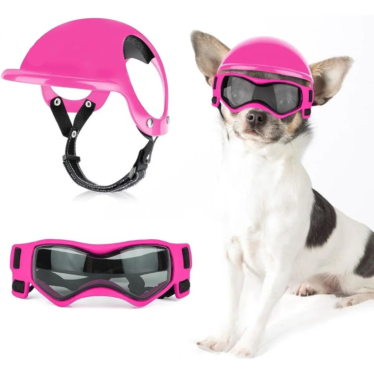 Dog Motorcycle Helmet & Goggles